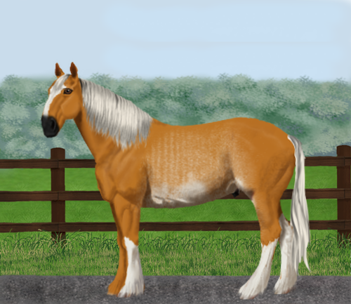 horse image