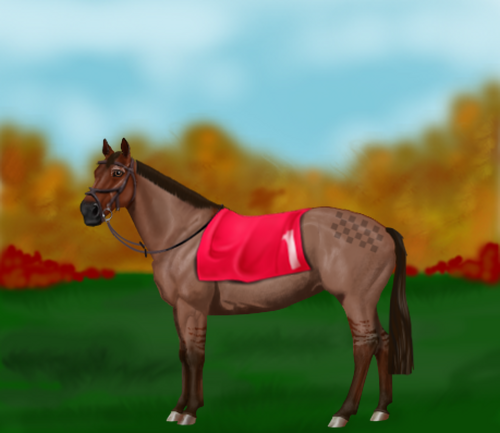 horse image