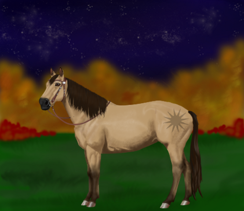 horse image