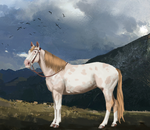 horse image