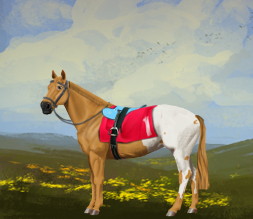 horse image