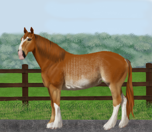 horse image