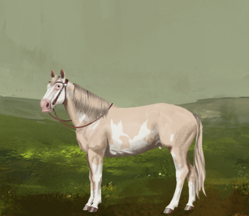 horse image