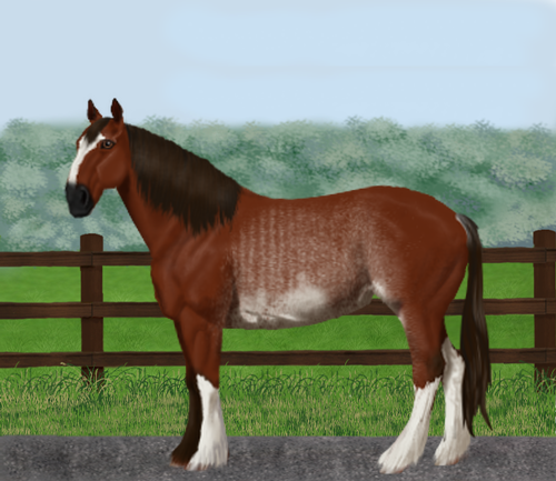 horse image