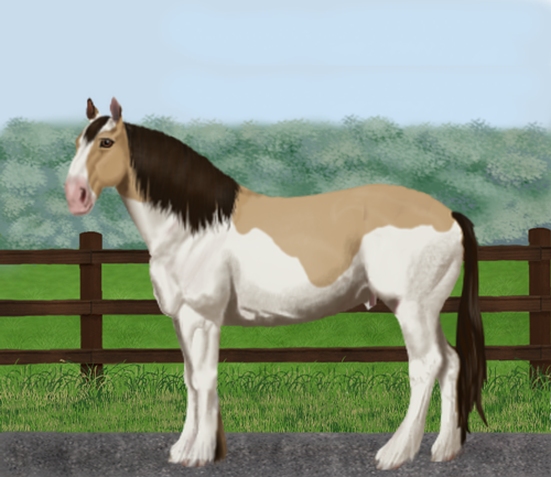 horse image