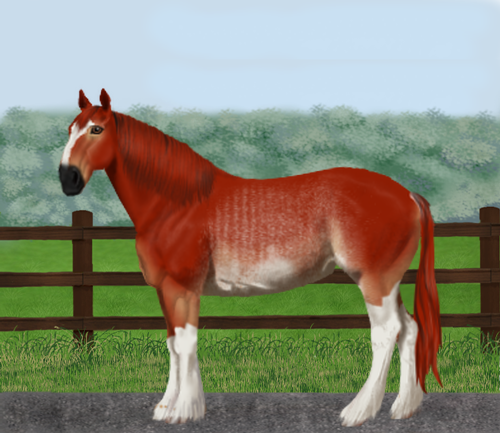 horse image