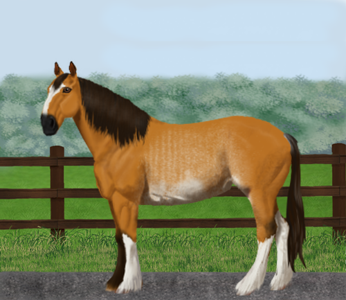 horse image