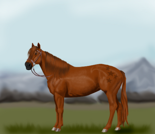 horse image