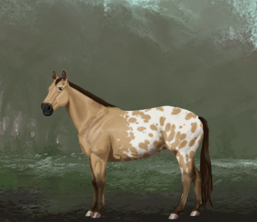 horse image