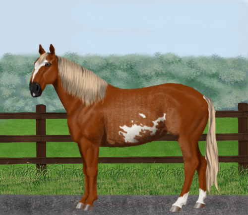 horse image