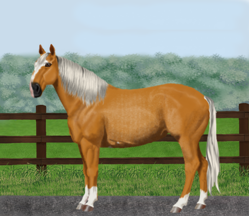 horse image