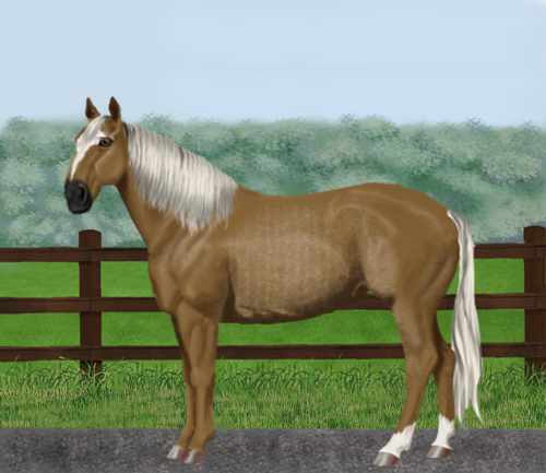 horse image