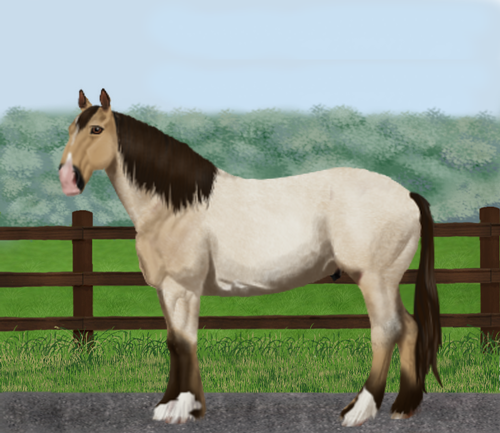 horse image