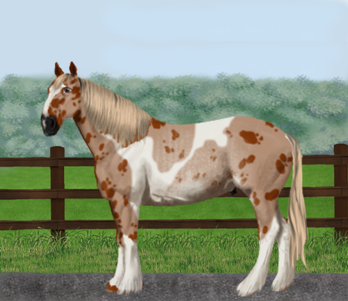 horse image