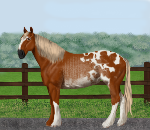 horse image