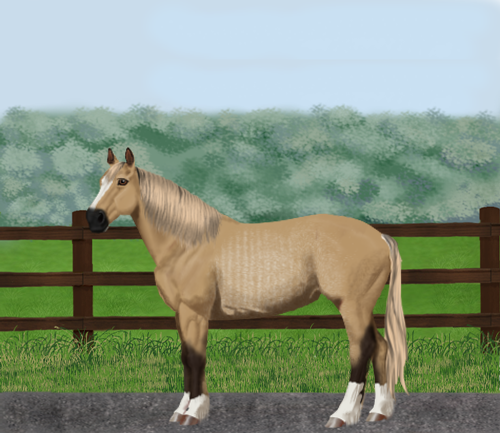 horse image