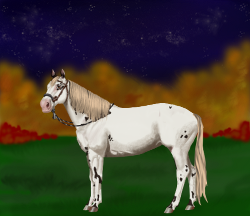 horse image