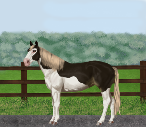 horse image