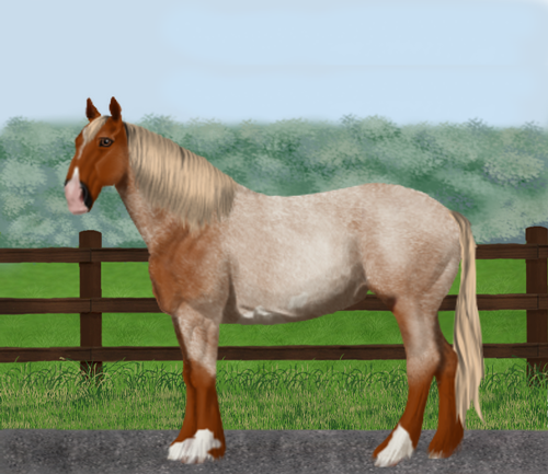 horse image