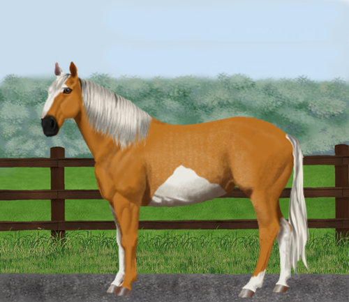 horse image