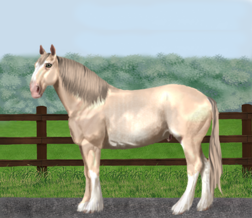 horse image