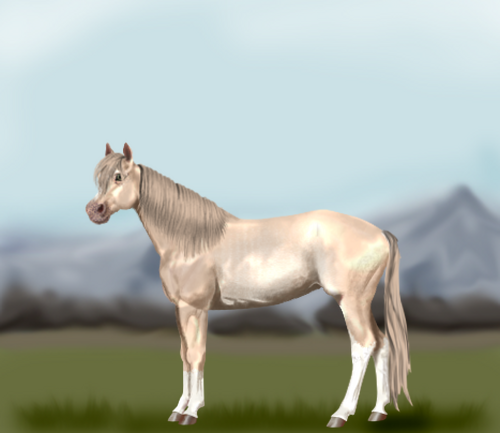 horse image