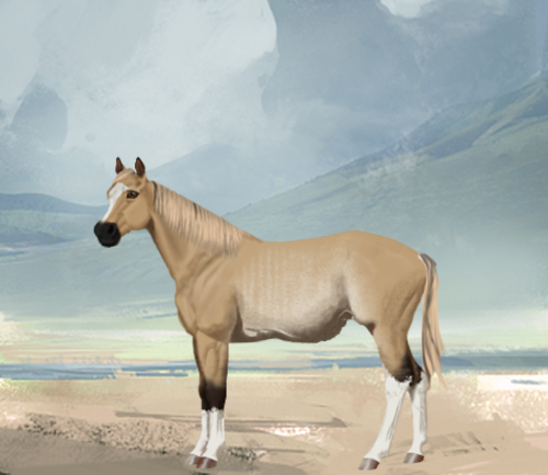 horse image