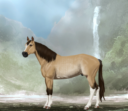 horse image