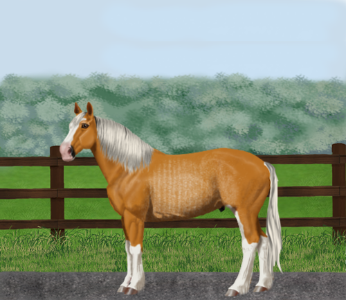 horse image