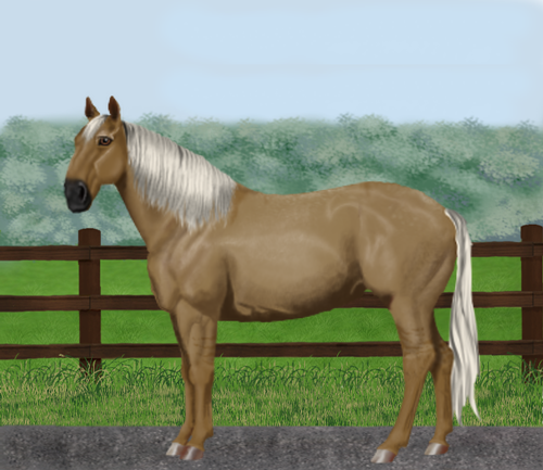 horse image