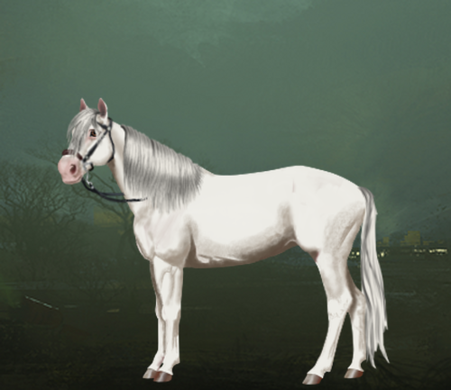 horse image