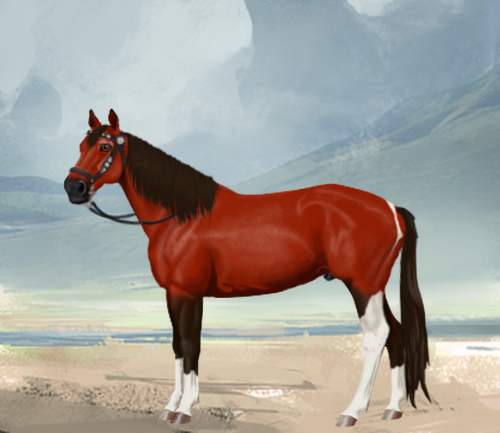 horse image