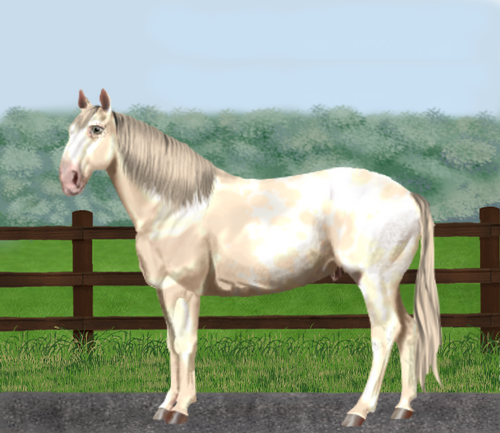 horse image