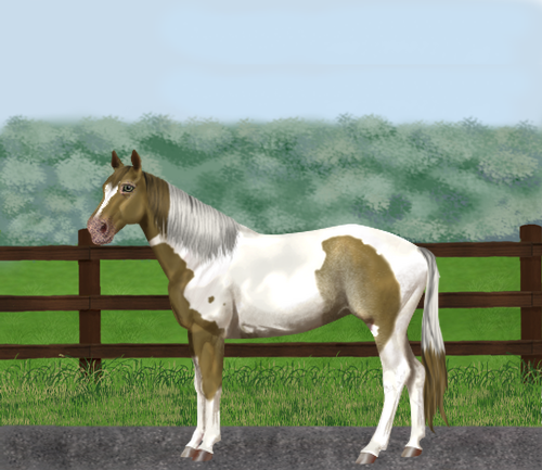 horse image