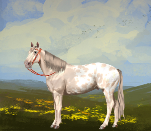 horse image