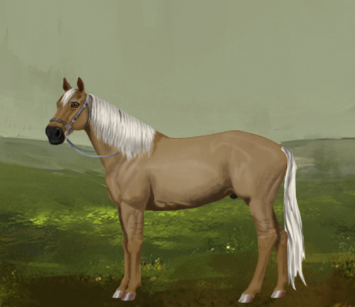 horse image