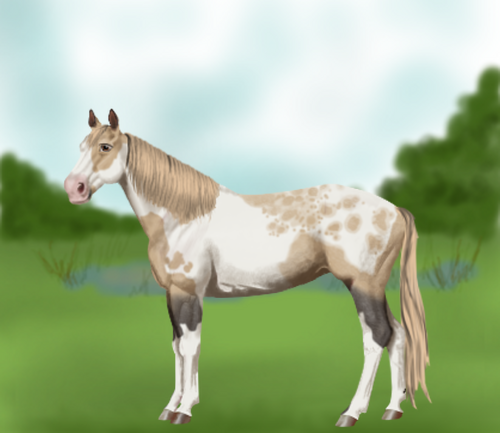 horse image