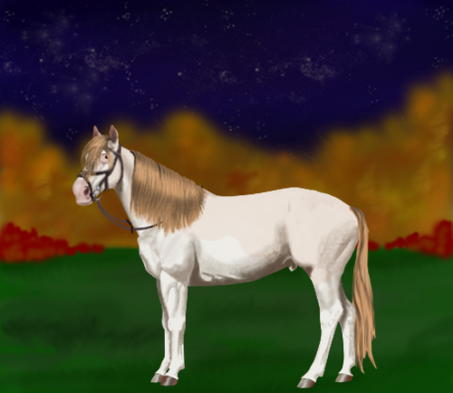 horse image