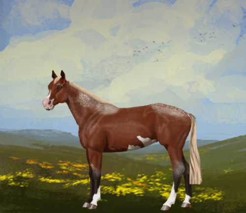 horse image