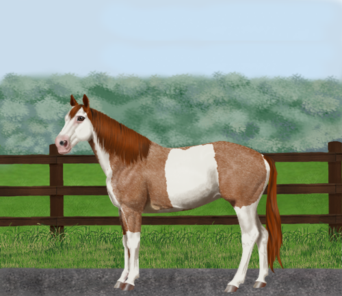 horse image