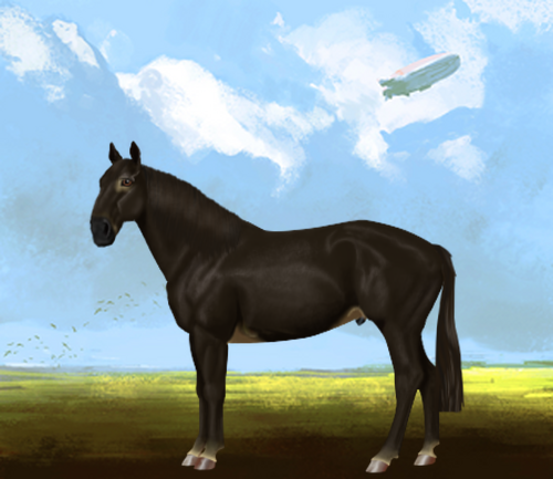 horse image