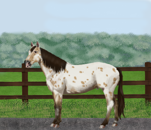 horse image