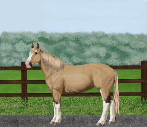 horse image