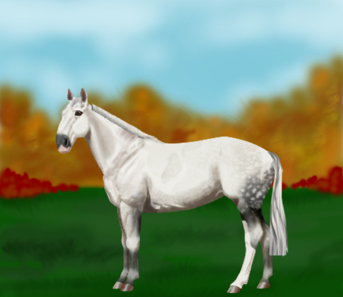 horse image