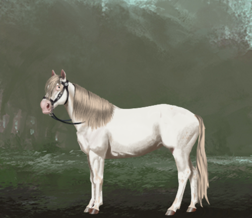 horse image