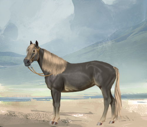 horse image