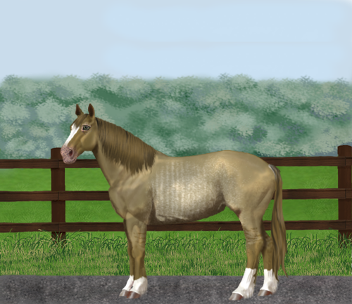 horse image