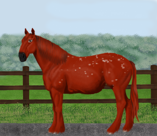 horse image