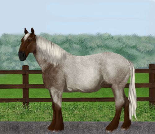 horse image