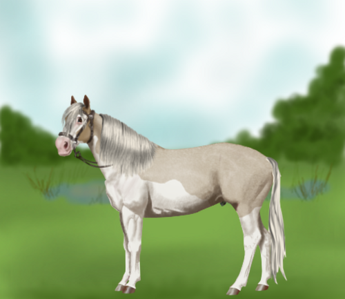 horse image